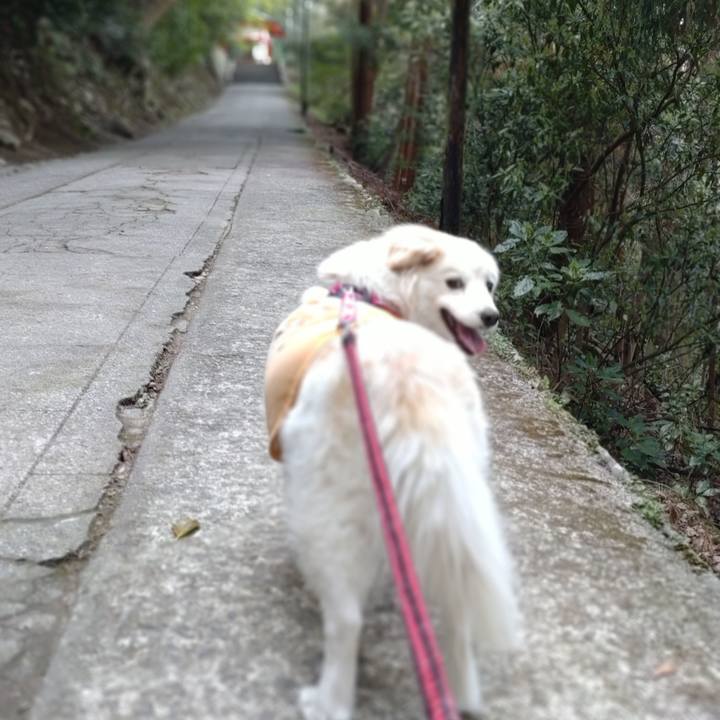 07b99702 d0ce 407a 85c5 8ff13466695f 1648966327535