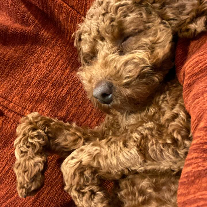 07b99a25 a87a 4eff 9b97 be4a10ce9db2 1584222318748