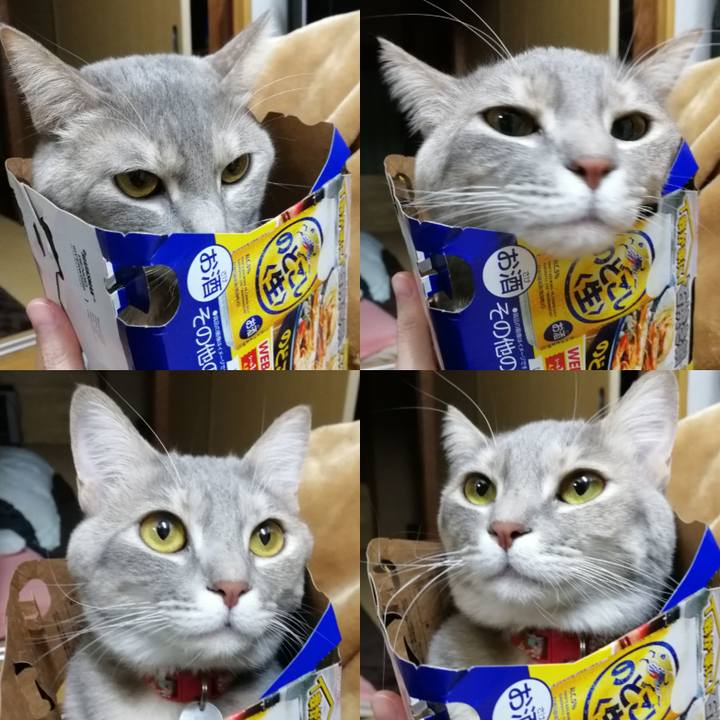 07b9c26e 5951 40c4 bb40 1f2cb325aafc 1514285219051