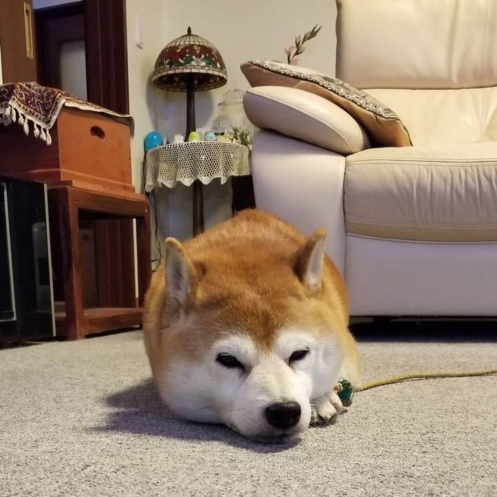 07b9e779 a162 47f1 bbfd 2c456573ddf8 1637970090663