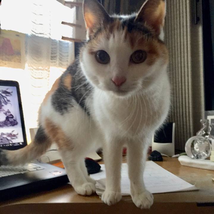 07ba018b f5c1 4147 9c11 c02cf66e97fc 1547536103705