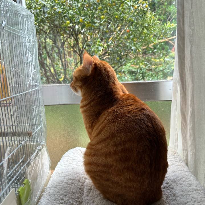 07ba3d60 2e1a 4ab1 a730 d28b52701b4d 1732755709569