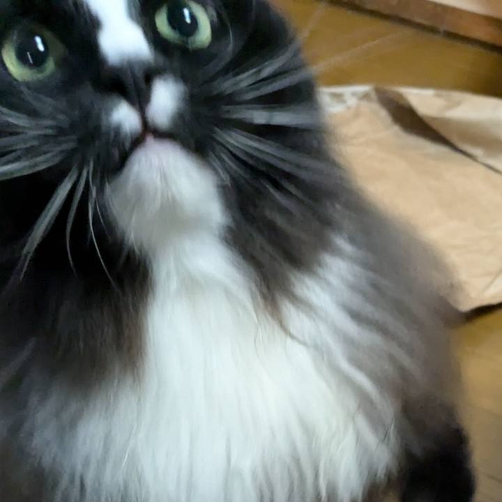 07ba6132 6405 413a b16d 8f40cfdb677f 1730288477888