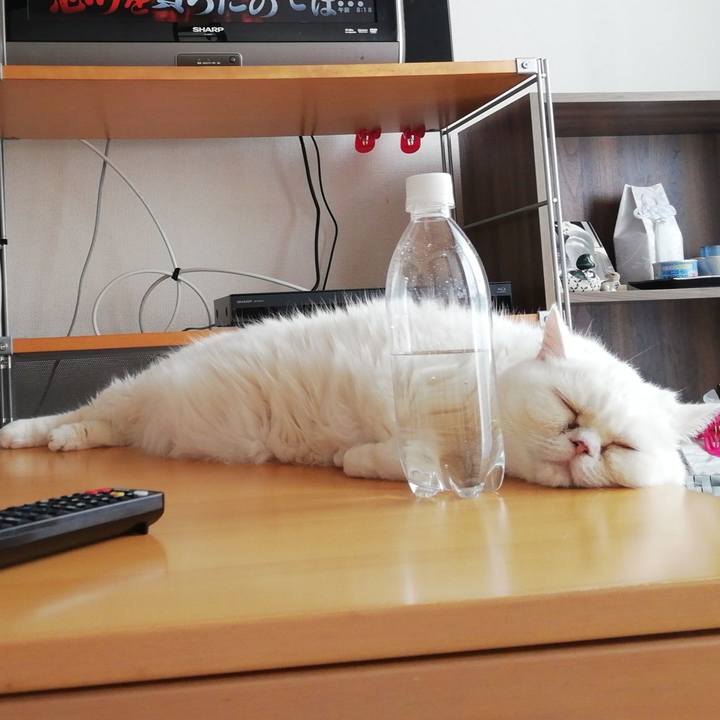 07ba8423 2916 4ba4 80c6 713fab4876ff 1725664816287