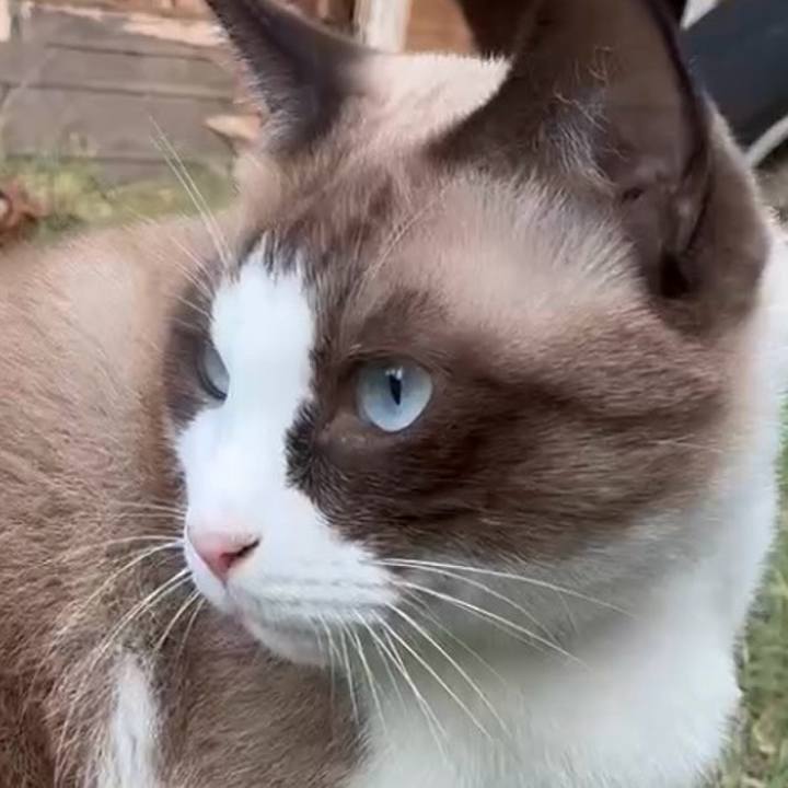 07ba9da6 f45a 4311 a4dc 025bbbfad29c 1761639890509