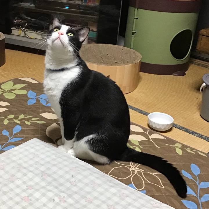 07baa544 182d 4a0b 82b0 0150bd48a056 1728293841588