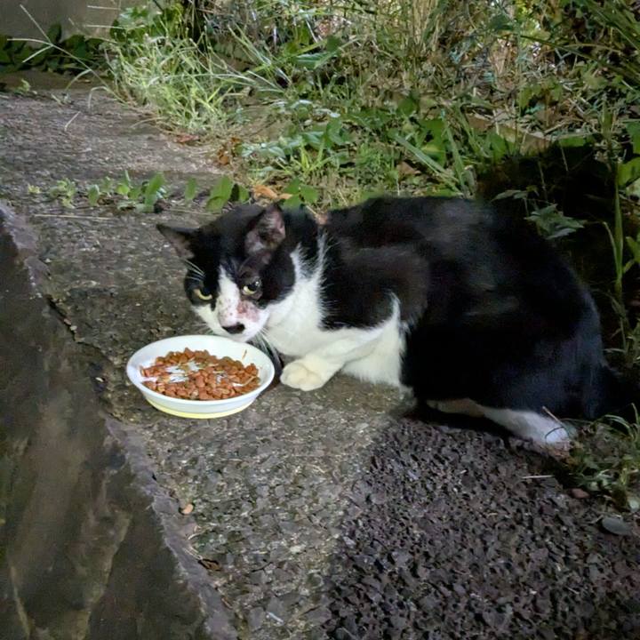 07bab10f 3e66 4559 b2de e197a5125186 1756830127454