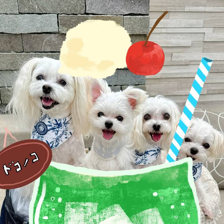 07bab95b dea1 4fb9 a27e 8ab9b11c4b16 1755249951647