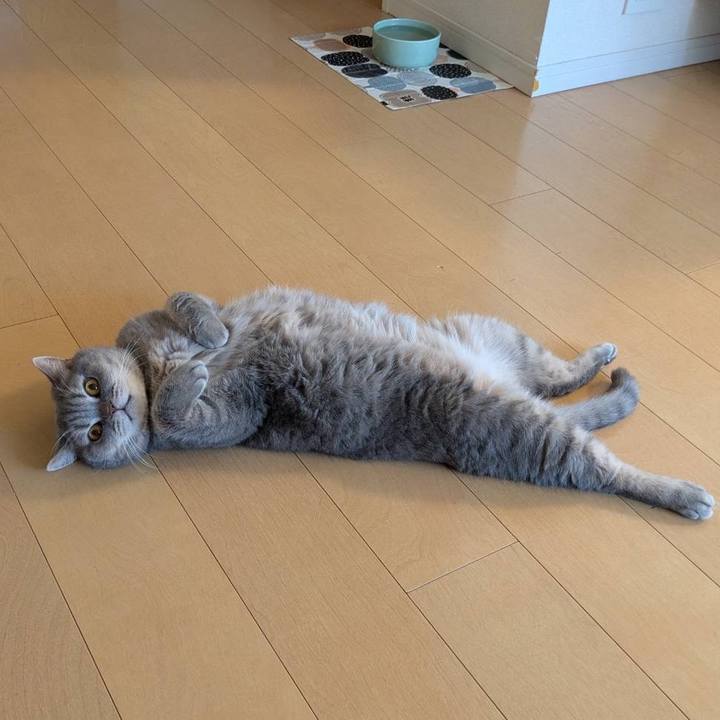 07baef94 f91f 452b 9ff4 e7de849d3ed6 1768882701420