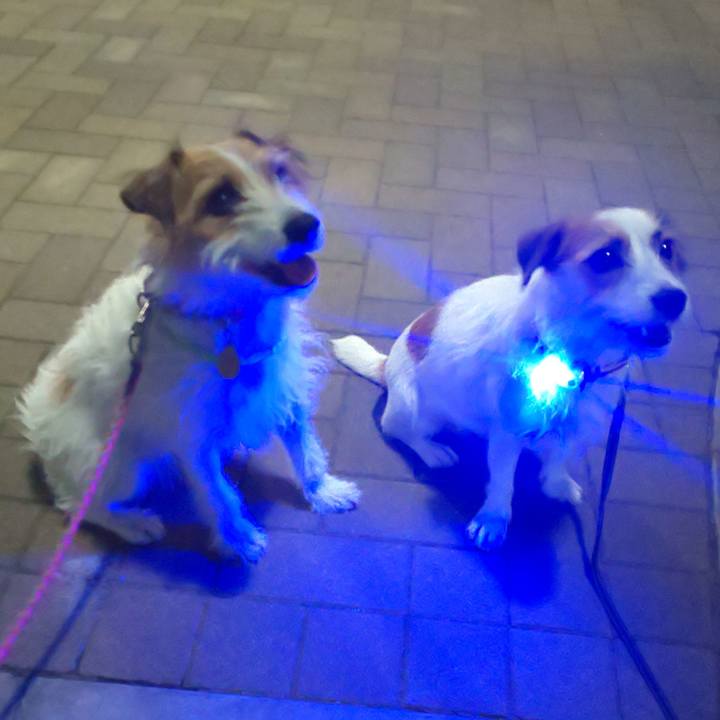 07bb1445 96c4 4e5f b471 76ac95a35460 1599745681717