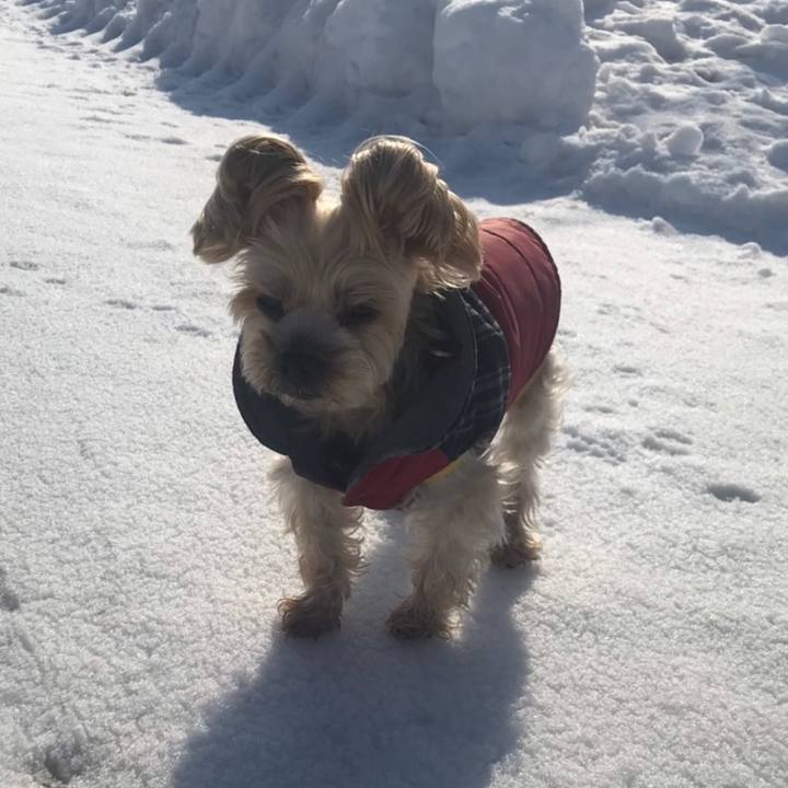 07bb409b 76a0 4acf bdc5 9015e5e6480f 1550708326204