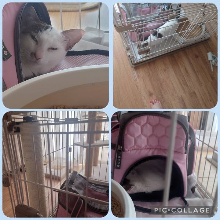 07bb4396 63e2 453b 8214 84116c8d82aa 1688878439831