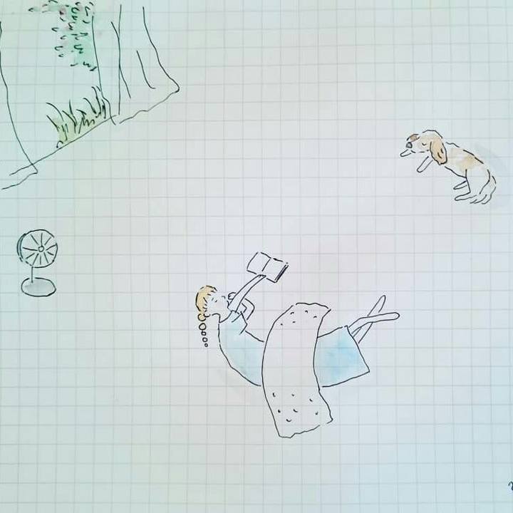 07bb5a0c 7220 4f33 9e9c 6088c7c60fd4 1561451407461