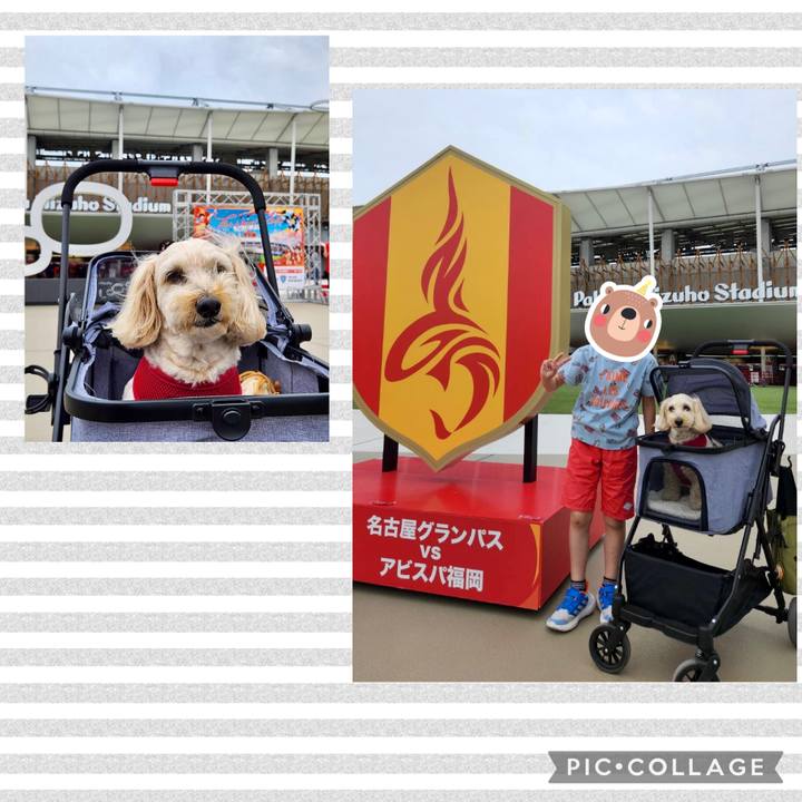 07bb9b2e 8a48 4d41 88d8 dbabc846d7d8 1776588222694