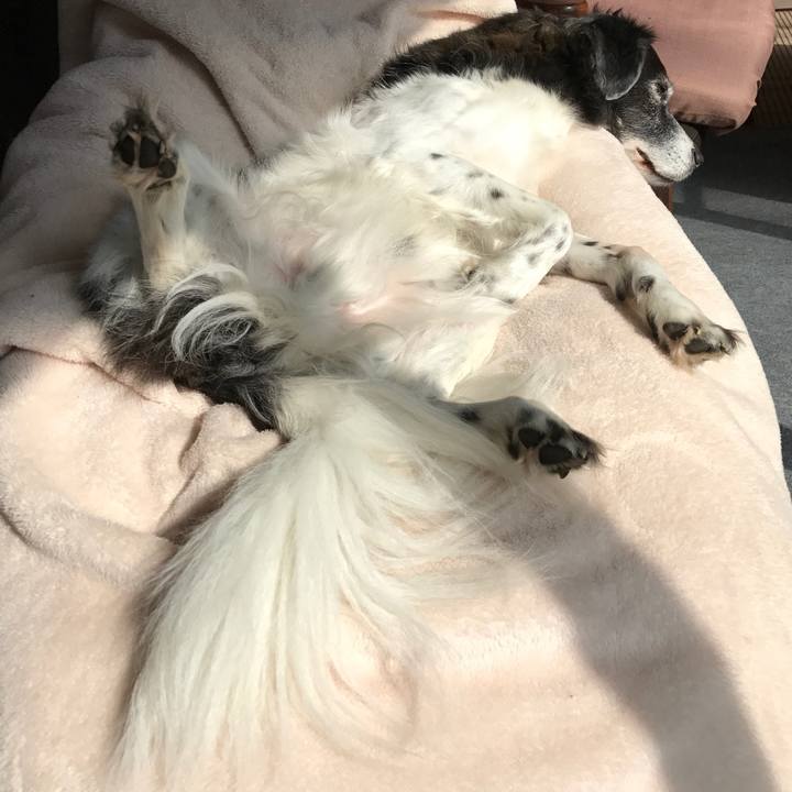 07bbc47f 0e02 449d b400 e46fb09cc37c 1514791126625