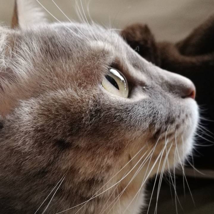 07bc0cbe 2c04 4bb1 b655 d40dd7d4d33c 1514603612023