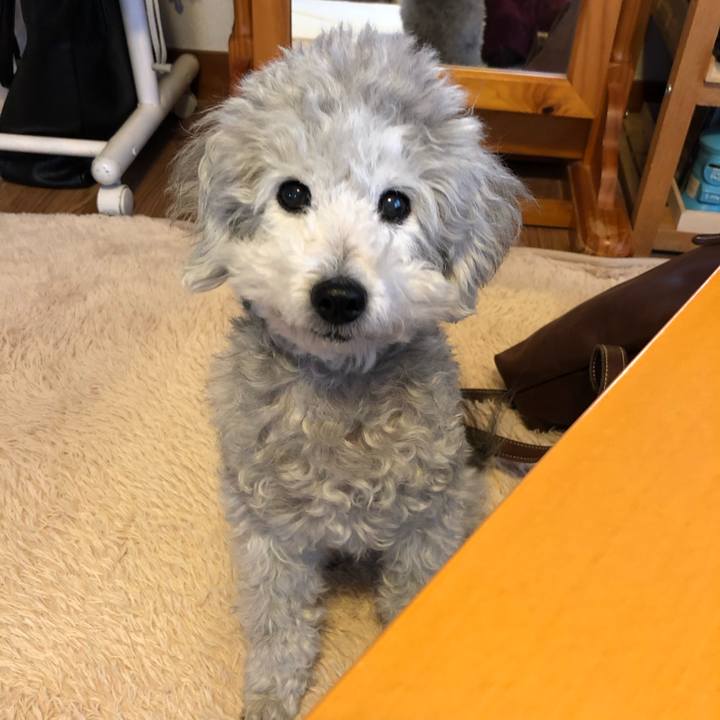 07bc3906 9cde 4a51 be20 f4c487a6ebcb 1551136000009