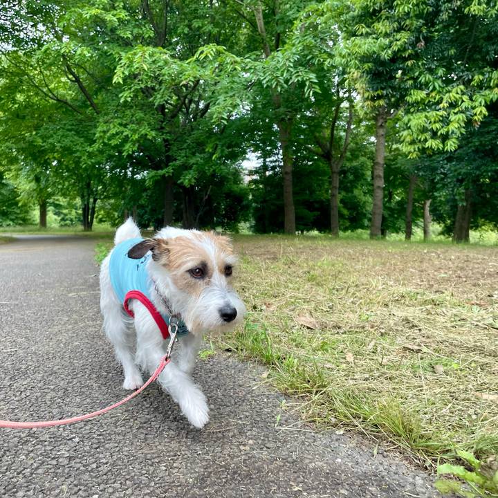 07bc49a0 b5a7 4bb0 9f8f 69902692ea67 1654677799329