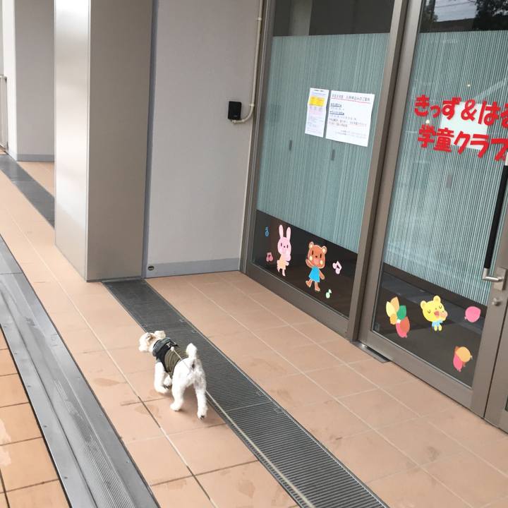 07bc5b28 d281 4641 b497 5b4a96d8a33f 1508057519695