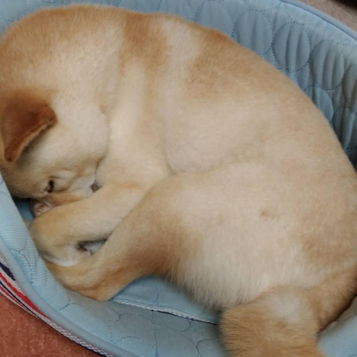 07bc836f 7bc1 4cd1 a343 3d8499cc1d8e 1523447152161