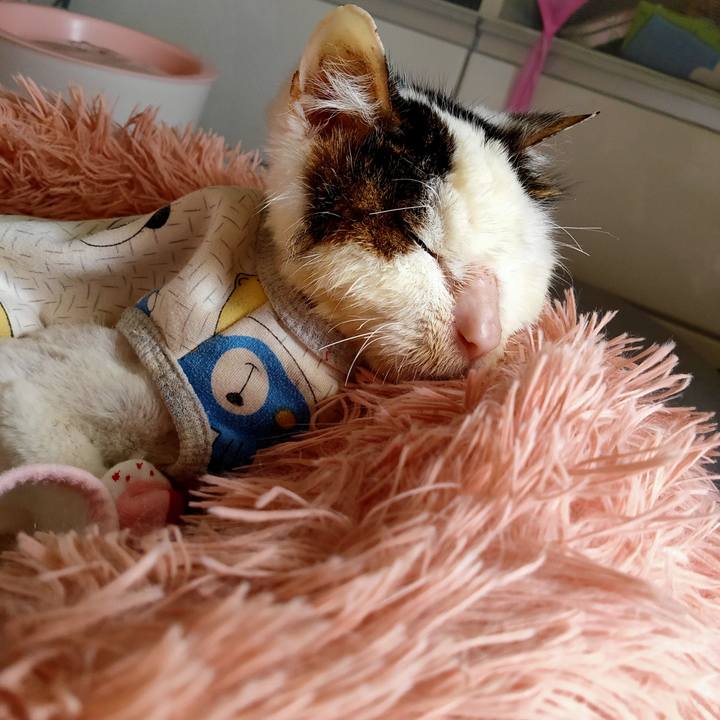 07bc87e9 8673 414e b785 95529afedf99 1617165798198