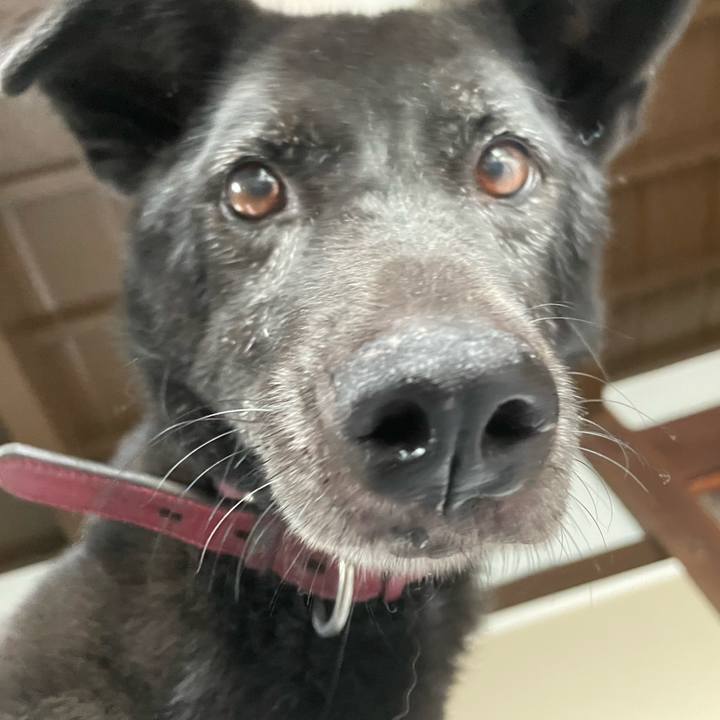 07bcc46b 8907 4fbd b955 bea59b72d14e 1664005784124