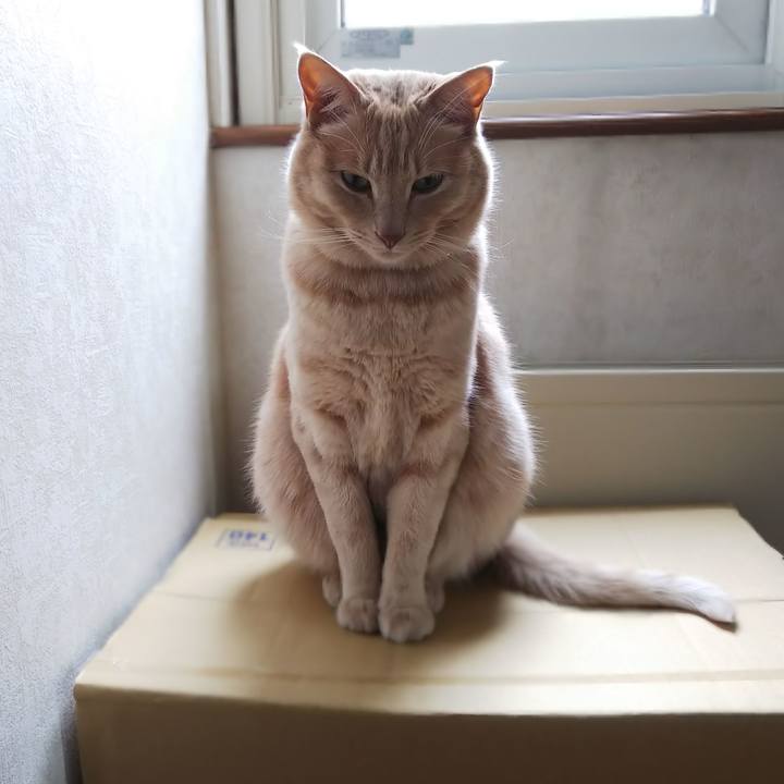 07bcc55f 5b55 460e 8c69 1ae59bca1fd0 1624145962782