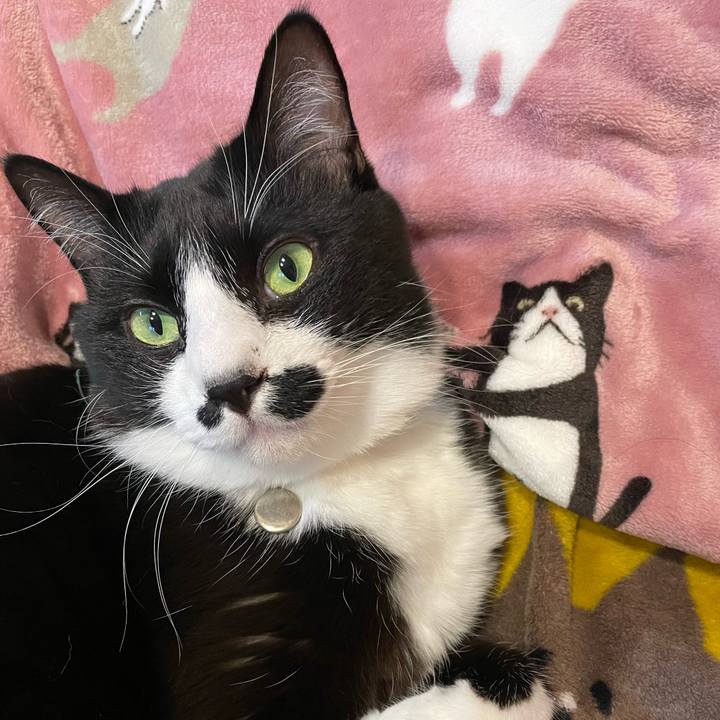 07bcf306 27c9 4351 aa01 fb62866e8601 1736162608206