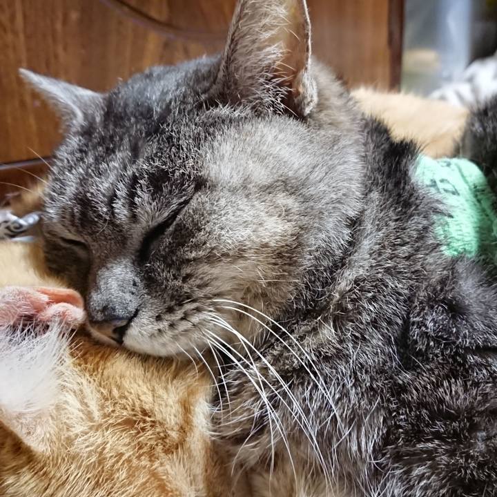 07bcf3ba 75bf 4035 8390 d0033b015263 1587559217089