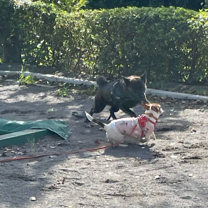 07bd9fd2 2800 43ba beca cab92af5a28b 1696647164166