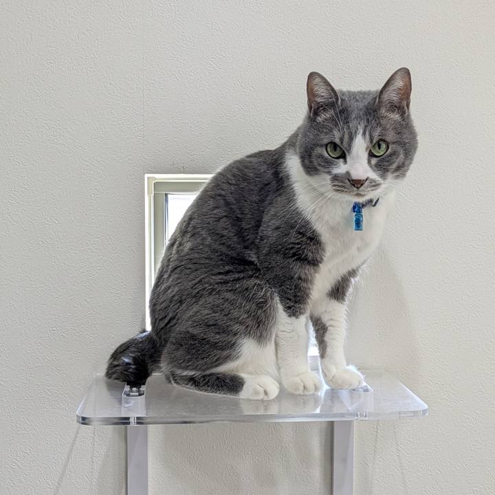 07bdc699 a1a0 4d85 a929 db014efd25dc 1772850541358