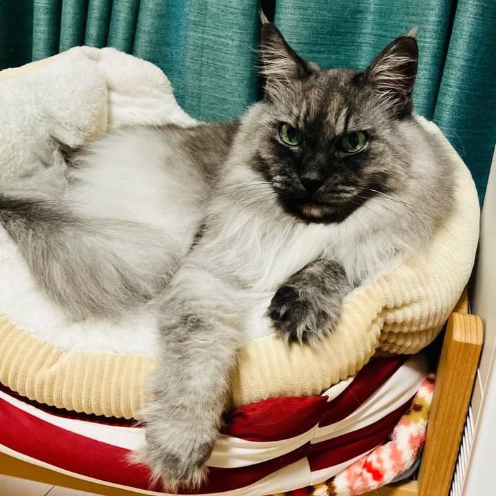 07bdf145 5d58 485c a3e8 22a503f77311 1748478547002