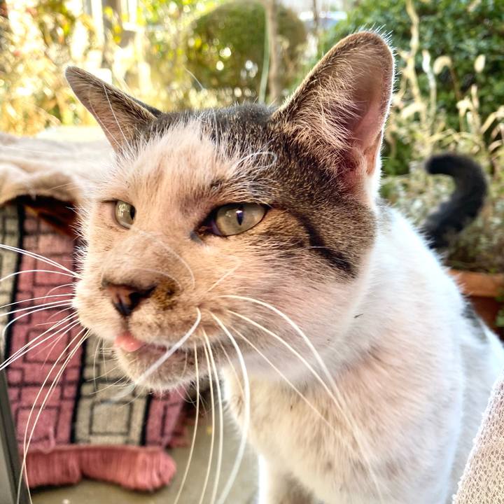 07bdfb23 aeb7 4a58 a050 8e2aa6fddbcf 1608651213533