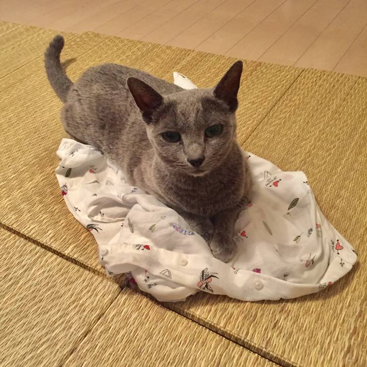 07be06c4 3973 4eec ac89 32f596ee8482 1569539727588