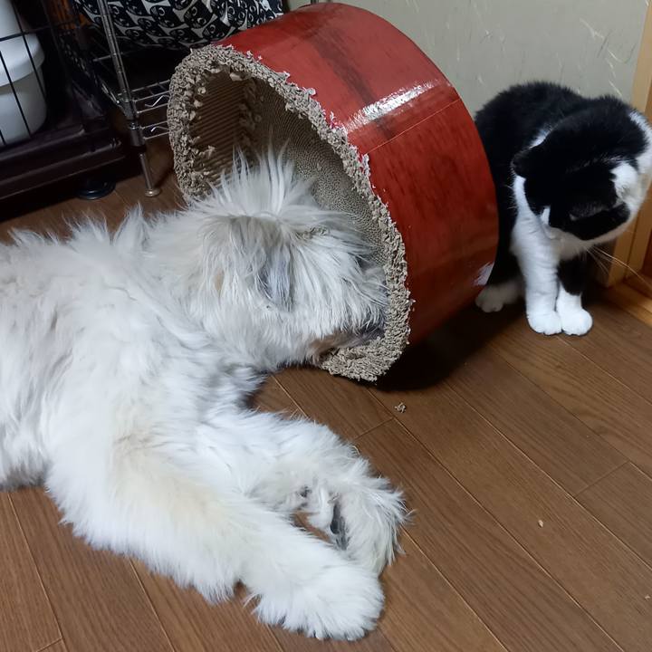 07be246f 306f 481e b00b 46c9ba29f951 1631191206375