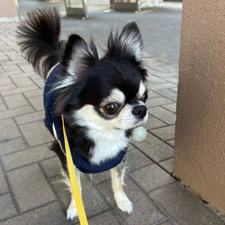 07be592f 3a40 48f8 9d3c 5787334a4abc 1739722615569