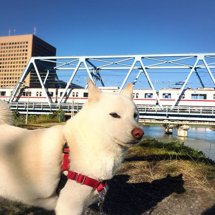 07be5e3f ad71 4d02 8ad0 52347da66ff5 1511220963425