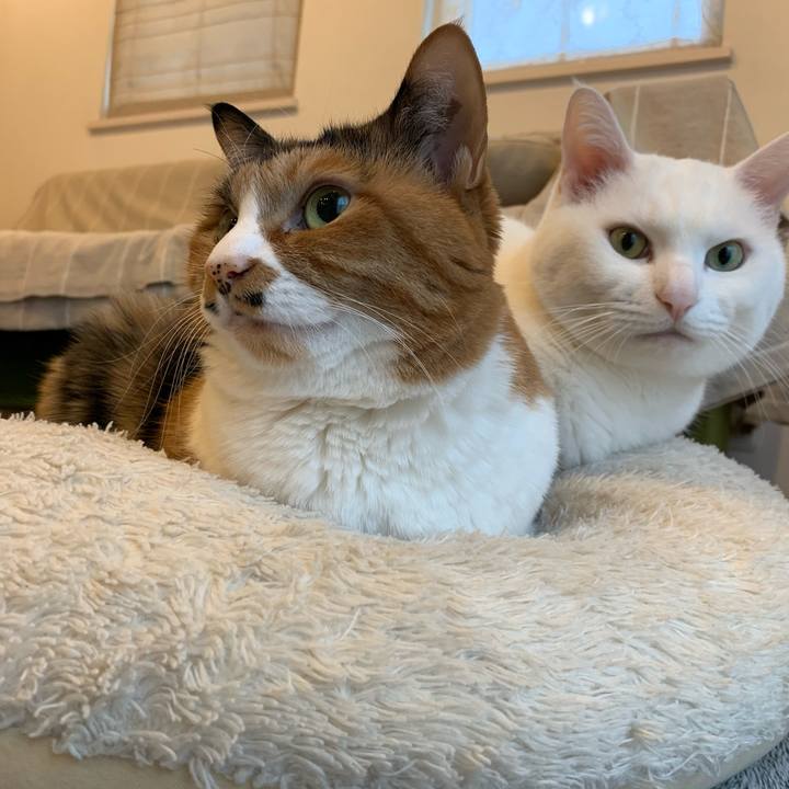 07be7953 ef70 44b0 894e b6a1c4ab8c9d 1638960351547