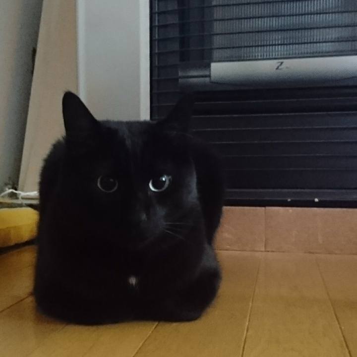 07be8396 f9dd 4b77 b05d ad989ab905a7 1623715066173