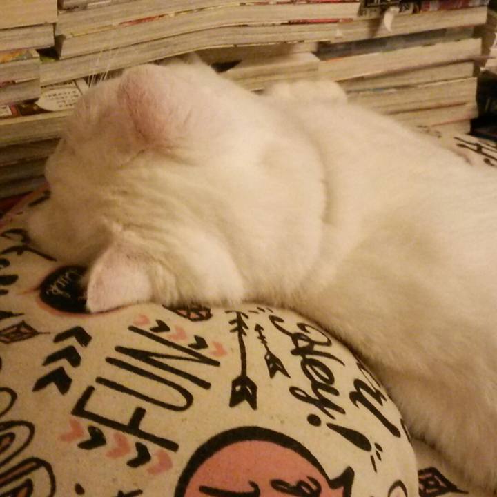 07be94d2 a224 4701 9099 19048c9f7d5f 1510097849668