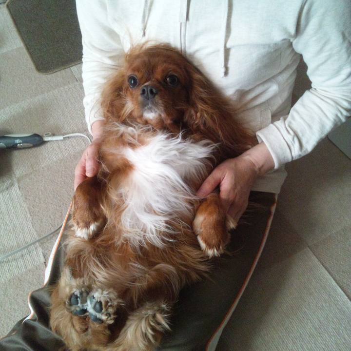 07bec71b 13e4 409f ab6d f7e792c903df 1518948481951