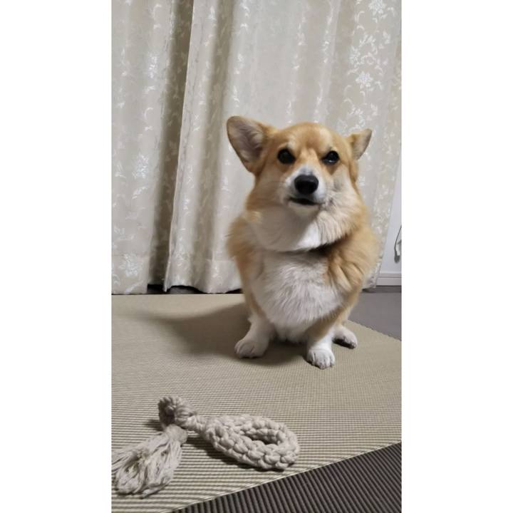 07bec92c 8f27 4798 baca 93200e5a1ea5 1529061000954