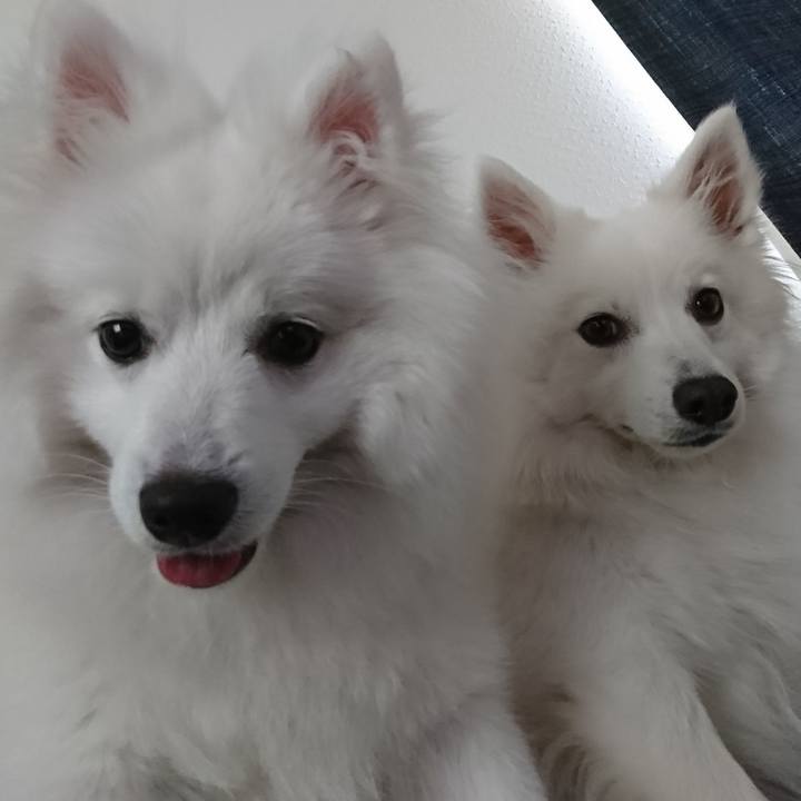 07bf31f8 d3ea 429b a03a 0a85632e2efd 1558499116151