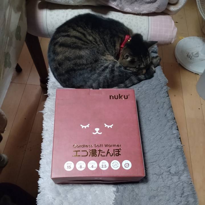 07bf620e 7949 4735 b8cf 8bad04b3200d 1670121833621