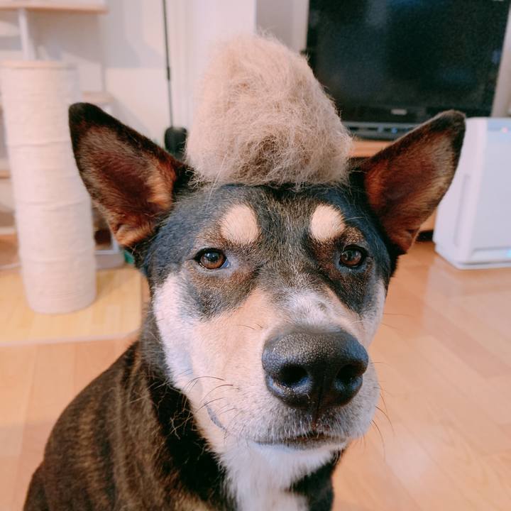 07bf8c48 bf3c 47f0 8378 afb02134c493 1559872362627