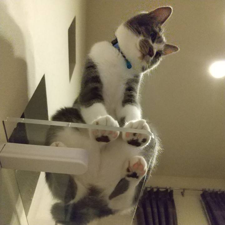 07bf9ab8 8646 4bcb 8a41 3127d7f83baa 1601304240553