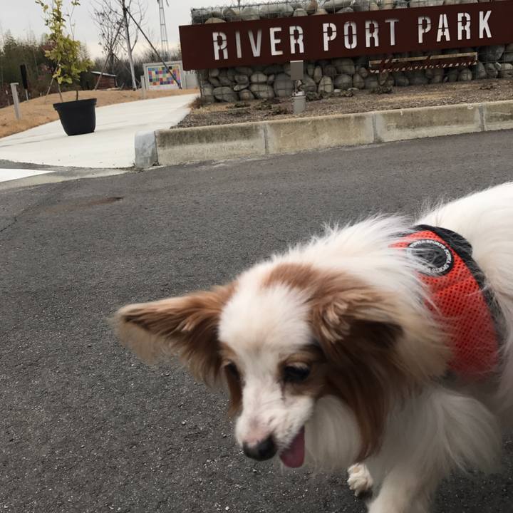 07bfa234 cb1a 4770 a014 17c815941aeb 1548246029242