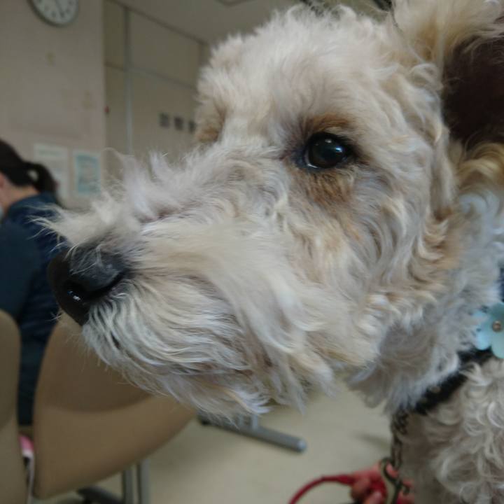 07bfcf43 d188 47cb 9b4b 1fe299ea78b5 1513059412959