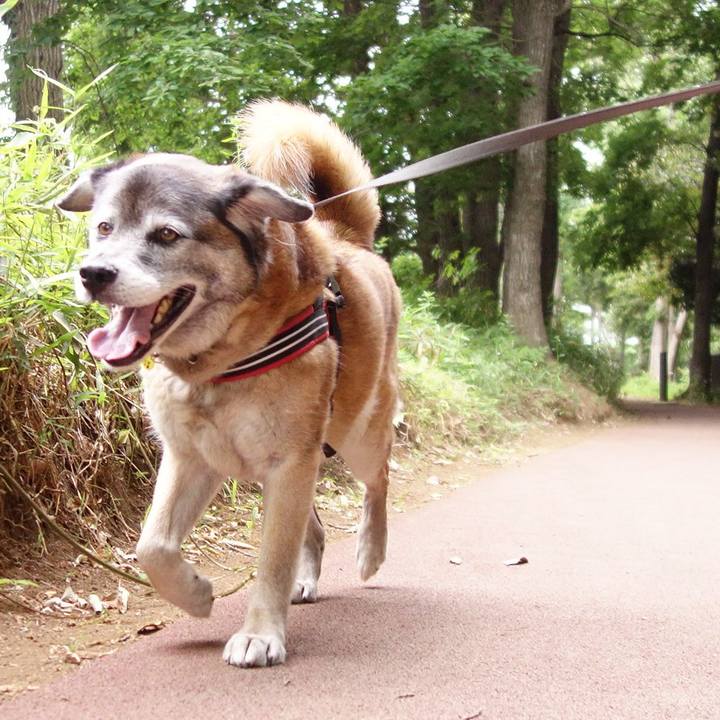 07bff0ff 32db 45d1 b34b 5667f63e4ae2 1558147888028