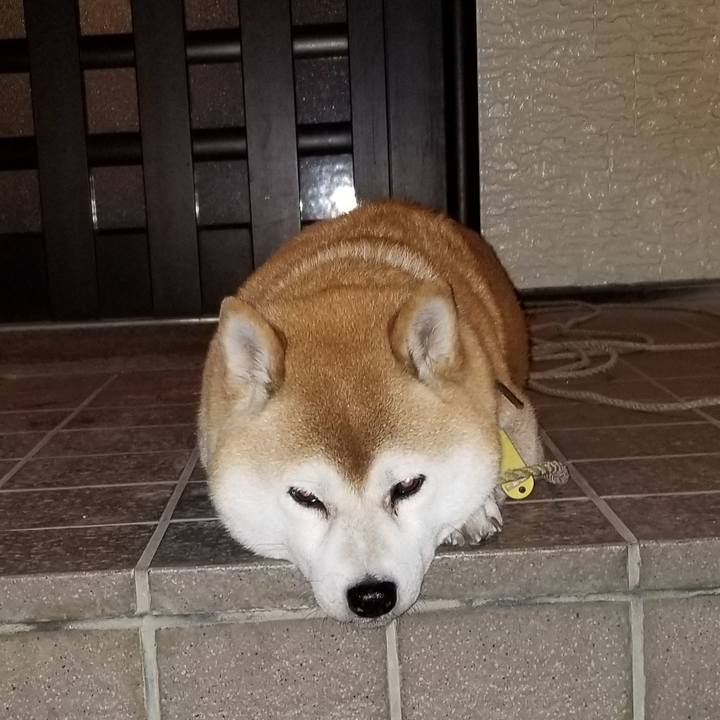 07bff47f e043 415e b33a 909330ed9917 1605879259075